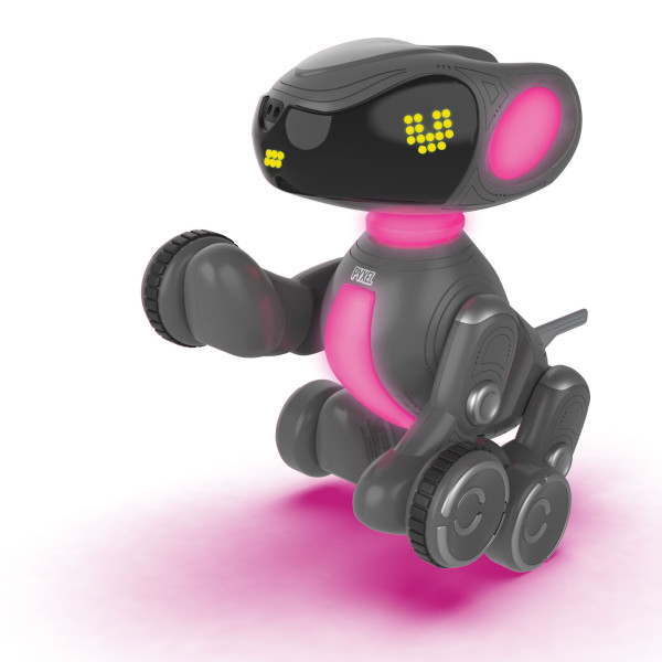 Pixel - a robotkutya - a Coder's Best Friend