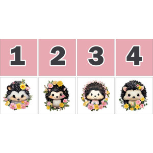 Sündisznós Számkártya - 20 db