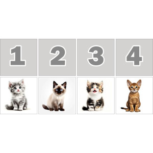 Macskák Számkártya - 20 db