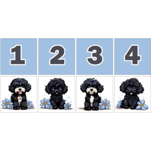 Puli Kutyás Számkártya - 20 db