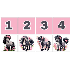 Lovas Számkártya - 20 db